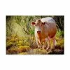 Trademark Global American School Lone Cow In New Mexico Canvas Art - 37 X 49
