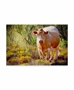 Trademark Global American School Lone Cow In New Mexico Canvas Art - 37 X 49