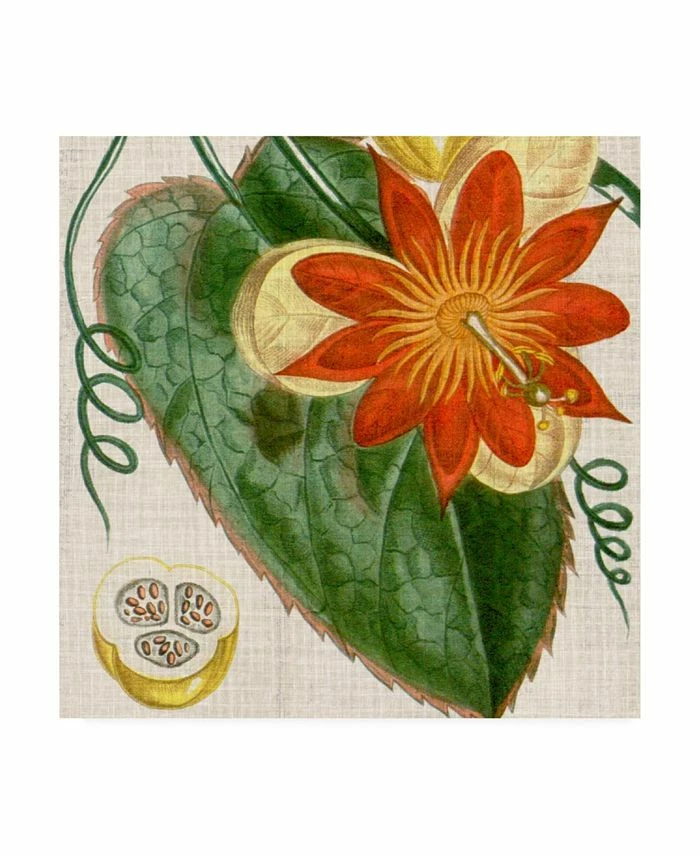 Trademark Global Vision Studio Cropped Turpin Tropicals I Canvas Art - 15 X 20