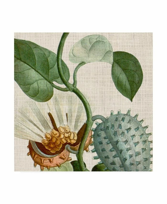 Trademark Global Vision Studio Cropped Turpin Tropicals II Canvas Art - 20 X 25