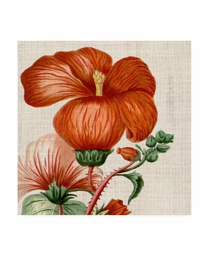 Trademark Global Vision Studio Cropped Turpin Tropicals VIII Canvas Art - 20 X 25