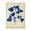 Trademark Global Vision Studio Indigo Leaf Study VI Canvas Art - 20 X 25