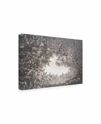 Trademark Global Kurt Shaffer Photographs Ice Crystal Mosaic On My Window Canvas Art - 15.5 X 21 - Image 2