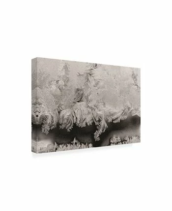 Trademark Global Kurt Shaffer Photographs Intricate Ice Crystals On My Window Canvas Art - 36.5 X 48 - Image 2