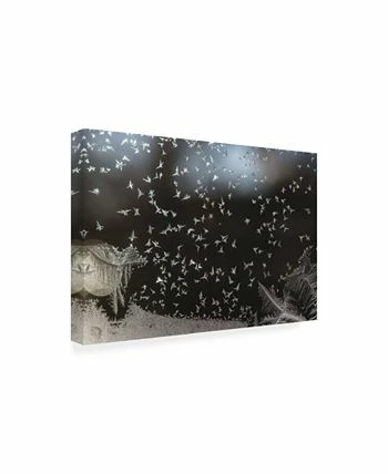 Trademark Global Kurt Shaffer Photographs Like A Flock Of Birds Ice Crystals On My Window Canvas Art - 15.5 X 21 - Image 2