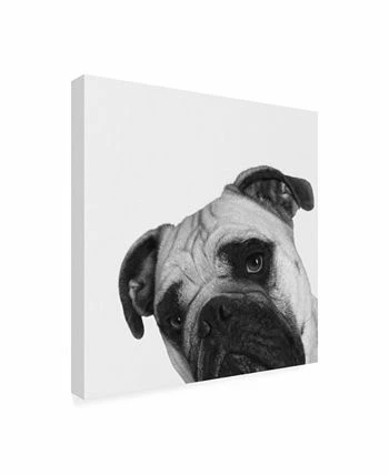 Trademark Global Jon Bertell Que Pasa? Canvas Art - 36.5 X 48 - Image 2