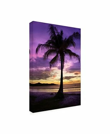 Trademark Global Winthrope Hier Brasalito Bay, Costa Rica Canvas Art - 19.5 X 26 - Image 2