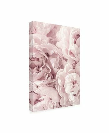 Trademark Global PhotoINC Studio Peony Flowers Canvas Art - 27 X 33.5 - Image 2