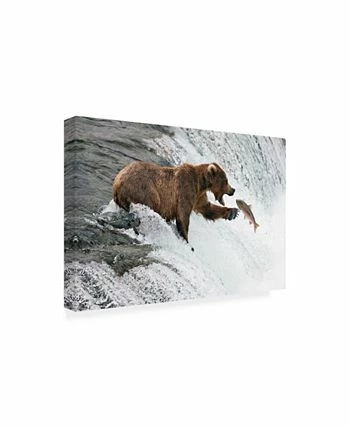 Trademark Global Peter Stahl Unlucky Jump Canvas Art - 15 X 20 - Image 2