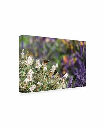 Trademark Global Kurt Shaffer Butterfly In My Garden 2 Canvas Art - 20 X 25 - Image 2