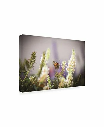 Trademark Global Kurt Shaffer Butterfly In My Garden Canvas Art - 20 X 25 - Image 2