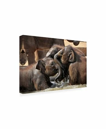 Trademark Global Antje Wenner Braun Water Fun Canvas Art - 15 X 20 - Image 2