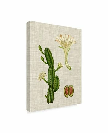 Trademark Global Vision Studio Elegant Tropicals III Canvas Art - 15 X 20 - Image 2