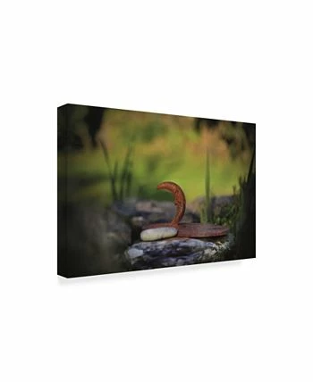 Trademark Global Christine Sainte-Laudy My Friend The Moon Canvas Art - 15 X 20 - Image 2