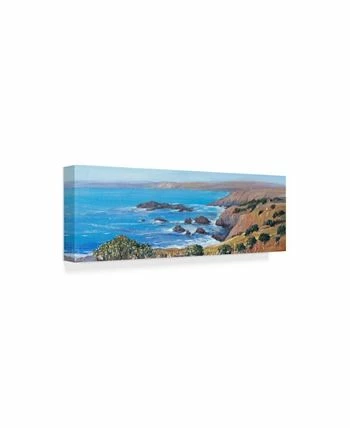 Trademark Global Im Otoole Panoramic Ocean View I Canvas Art - 15 X 20 - Image 2