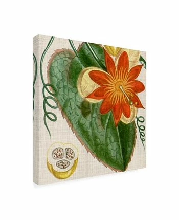 Trademark Global Vision Studio Cropped Turpin Tropicals I Canvas Art - 15 X 20 - Image 2
