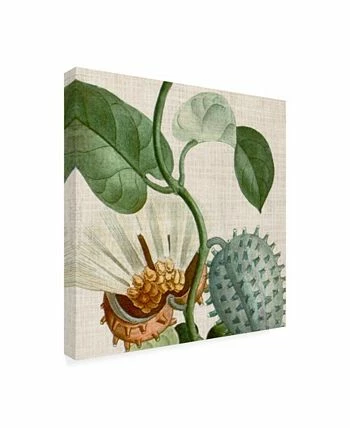 Trademark Global Vision Studio Cropped Turpin Tropicals II Canvas Art - 20 X 25 - Image 2