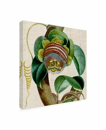 Trademark Global Vision Studio Cropped Turpin Tropicals IV Canvas Art - 27 X 33 - Image 2