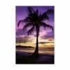 Trademark Global Winthrope Hier Brasalito Bay, Costa Rica Canvas Art - 19.5 X 26