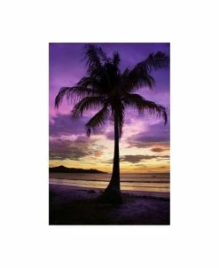 Trademark Global Winthrope Hier Brasalito Bay, Costa Rica Canvas Art - 19.5 X 26