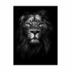 Trademark Global Design Fabrikken King Of Kings Fabrikken Canvas Art - 19.5 X 26