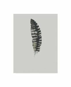 Trademark Global Incado Feather 05 Canvas Art - 15.5 X 21