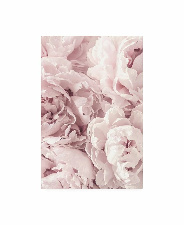 Trademark Global PhotoINC Studio Peony Flowers Canvas Art - 27 X 33.5