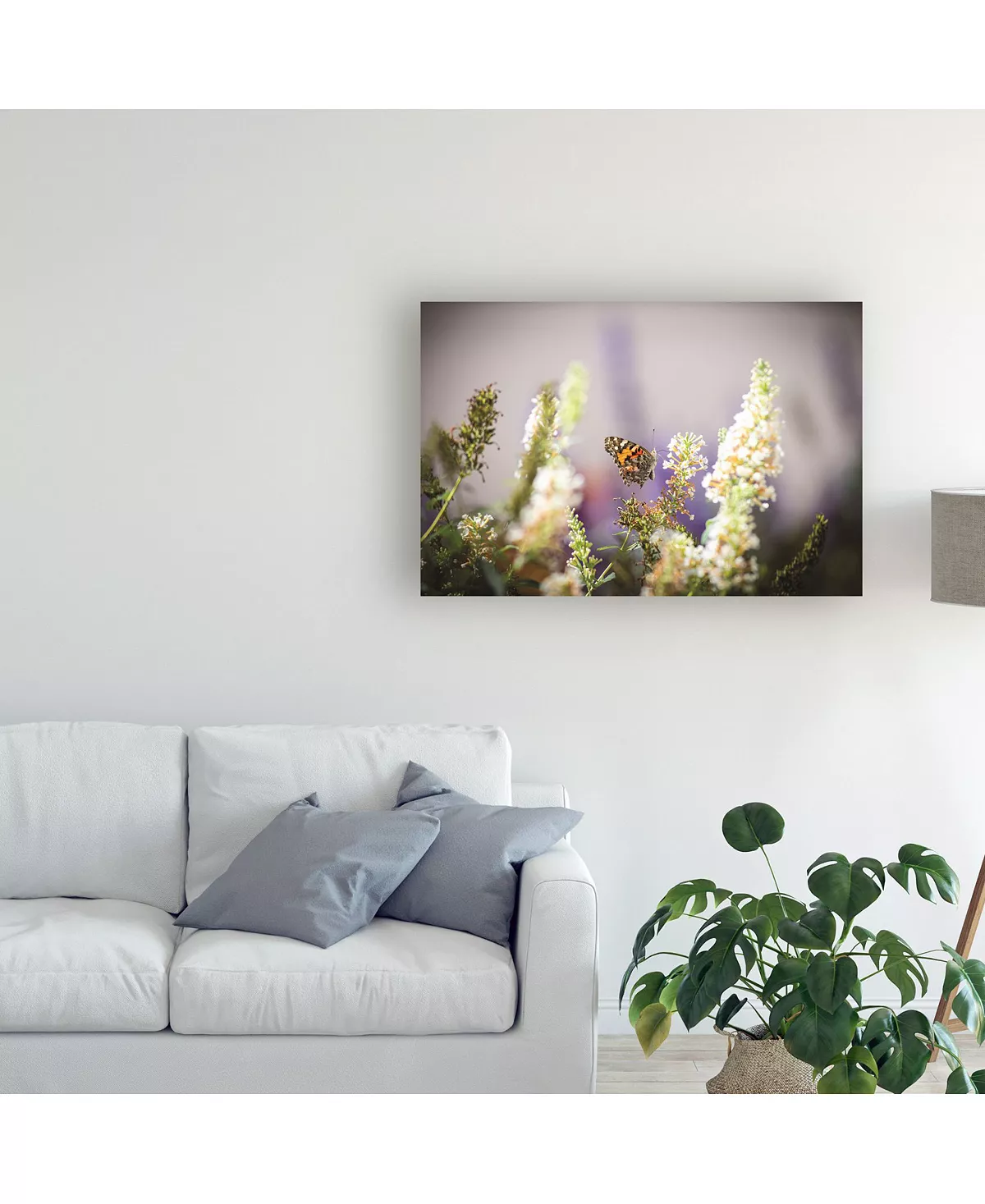 Trademark Global Kurt Shaffer Butterfly In My Garden Canvas Art - 20 X 25 - Image 3