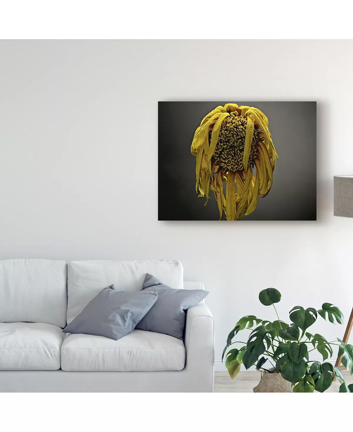 Trademark Global James Mcloughlin Studio Flowers VII Canvas Art - 15 X 20 - Image 3