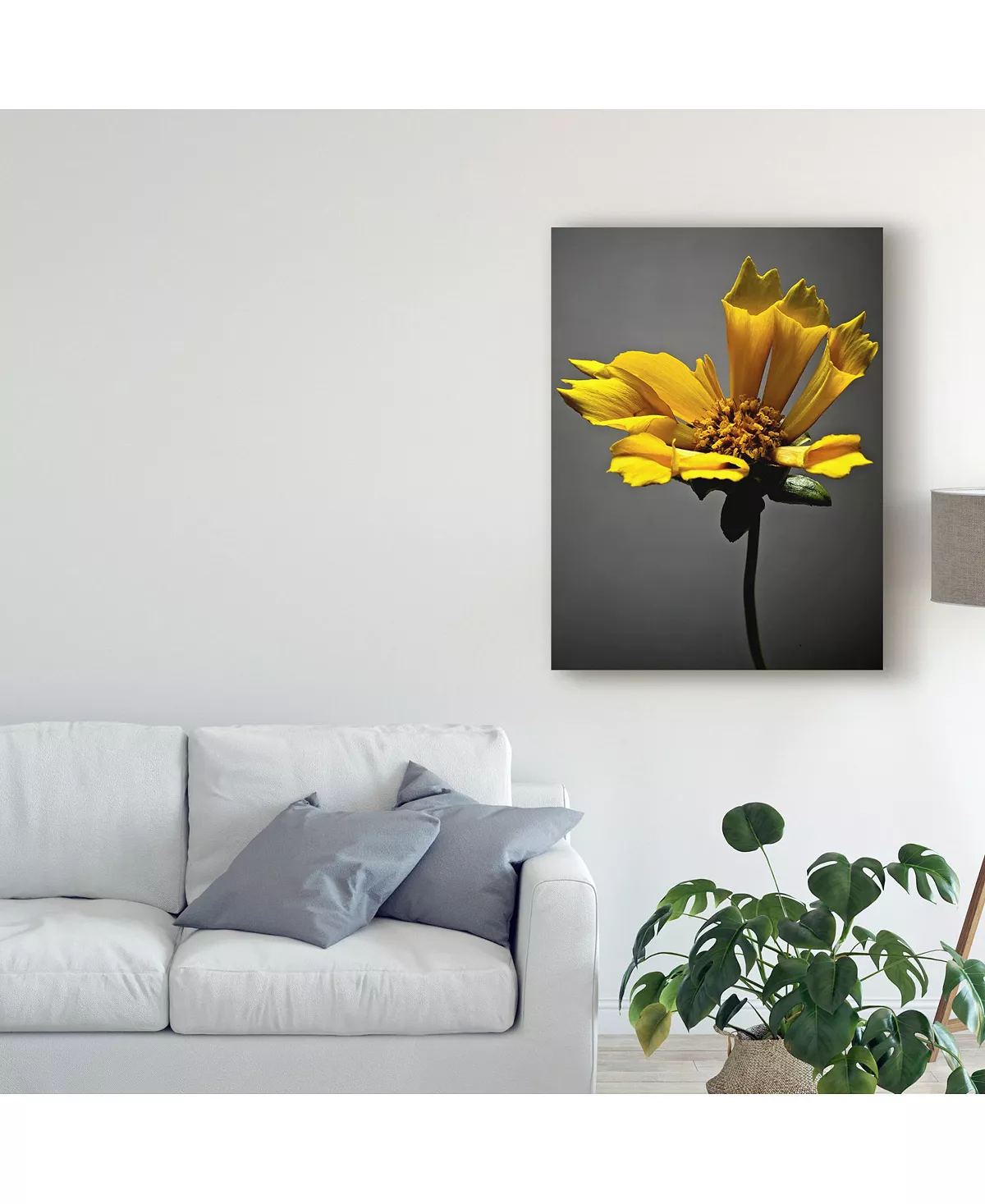 Trademark Global James Mcloughlin Studio Flowers X Canvas Art - 37 X 49 - Image 3