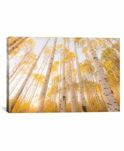 ICanvas Olorado By Dan Ballard Wrapped Canvas Print Collection