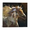 ICanvas Spirit Horse By Carolyne Hawley Wrapped Canvas Print - 26 X 26