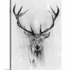 ICanvas Red Deer By Alexis Marcou Wrapped Canvas Print - 40 X 26