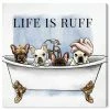Oliver Gal Life Is Ruff Canvas Art Collection