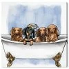 Oliver Gal Dachs In The Tub Canvas Art - 20 X 20 X 1.5