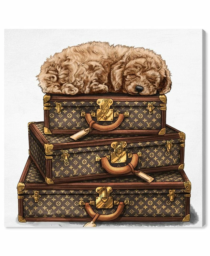 Oliver Gal Sleeping POODLE Canvas Art Collection