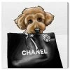 Oliver Gal Poodle Glam Canvas Art - 12 X 12 X 1.5