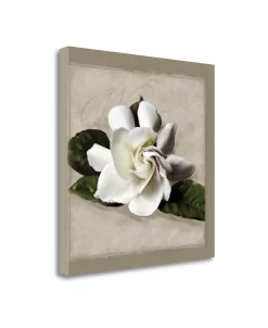 Tangletown Fine Art Botanical Gardenia By Janel Pahl Fine Art Giclee Print On Gallery Wrap Canvas, 20 X 20