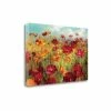 Tangletown Fine Art Cosmos In The Field By Danhui Nai Giclee Print On Gallery Wrap Canvas, 47 X 32