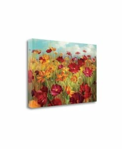 Tangletown Fine Art Cosmos In The Field By Danhui Nai Giclee Print On Gallery Wrap Canvas, 47 X 32