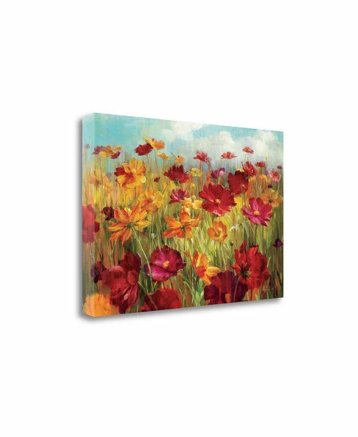 Tangletown Fine Art Cosmos In The Field By Danhui Nai Giclee Print On Gallery Wrap Canvas, 47 X 32