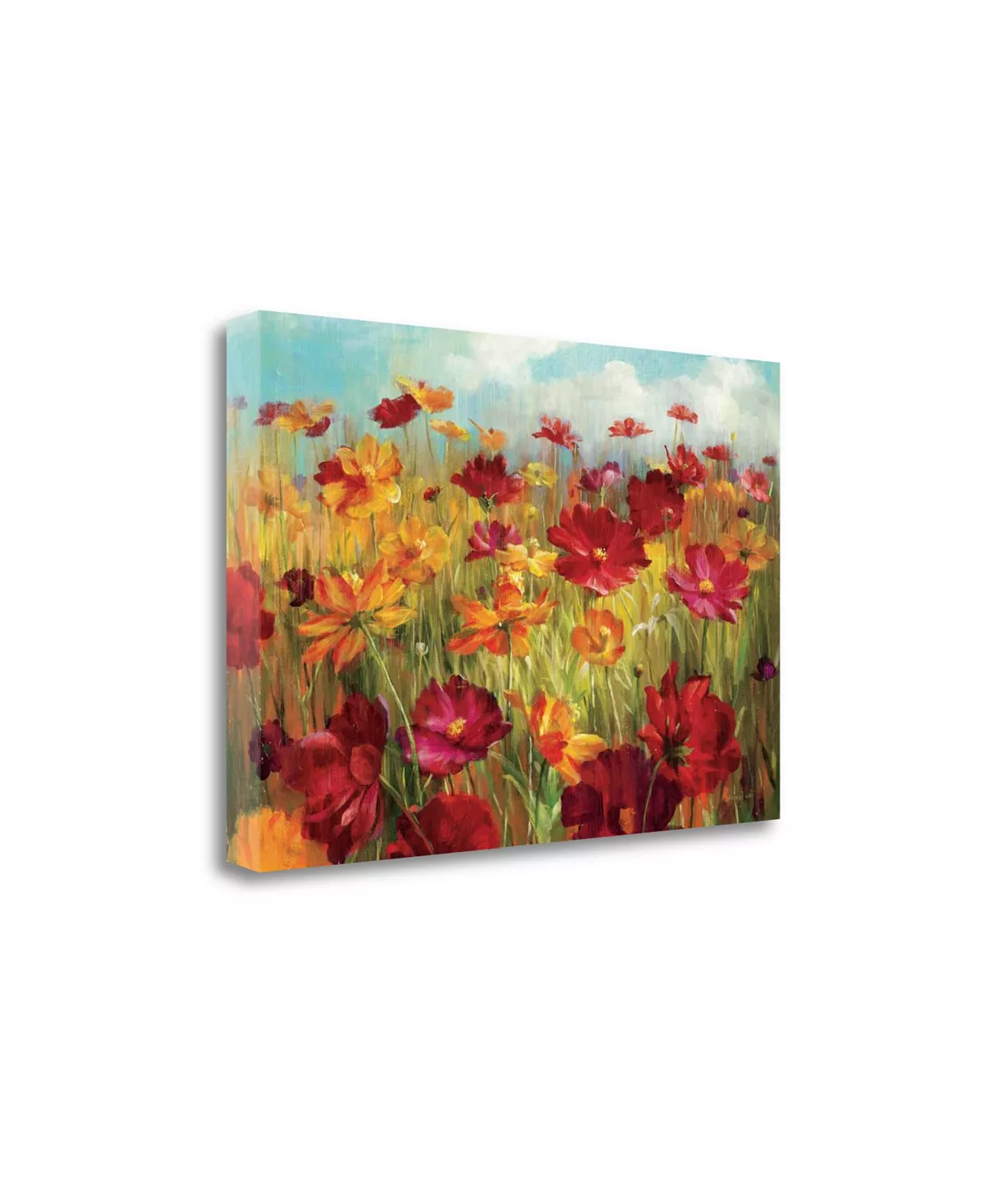 Tangletown Fine Art Cosmos In The Field By Danhui Nai Giclee Print On Gallery Wrap Canvas, 47 X 32 - Image 2