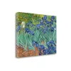 Tangletown Fine Art Irises 1889 By Vincent Van Gogh Giclee Print On Gallery Wrap Canvas, 32 X 24