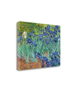 Tangletown Fine Art Irises 1889 By Vincent Van Gogh Giclee Print On Gallery Wrap Canvas, 32 X 24