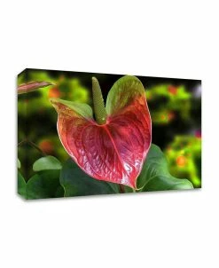 Tangletown Fine Art Herium By Don Spears Print On Canvas, 36 X 24