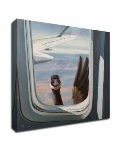 Tangletown Fine Art Dly Skies By Lucia Heffernan Print On Canvas, 24 X 24