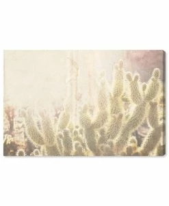 Oliver Gal Cactus Canvas Art Collection