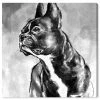 Oliver Gal French Bulldog Canvas Art Collection
