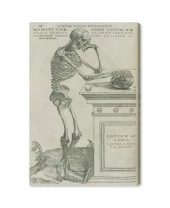 Oliver Gal Vesalius VII Canvas Art Collection