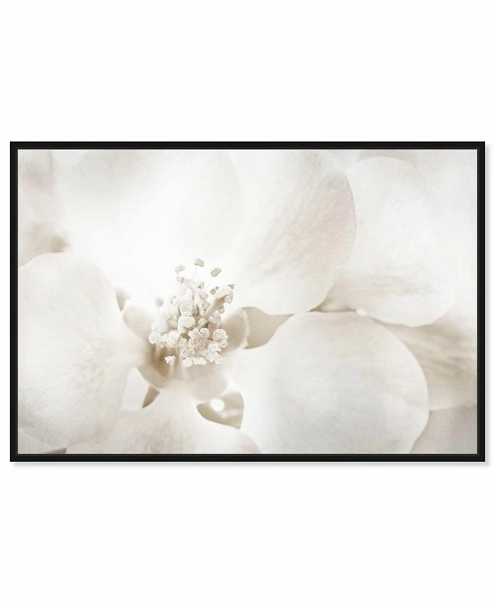 Oliver Gal Chid Love Floral And Botanical Framed Wall Art
